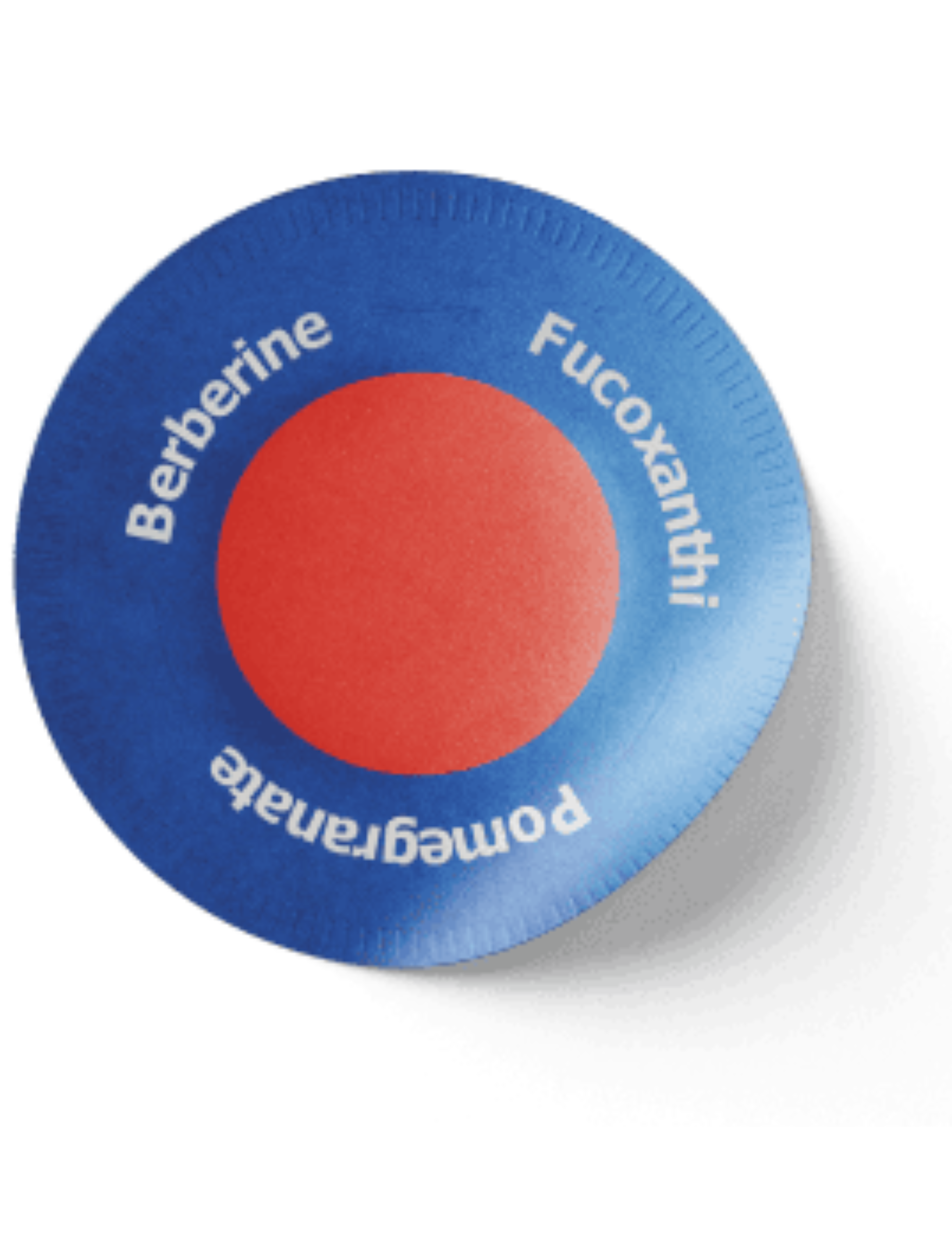 Untitled-design-6.png